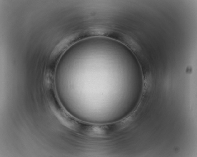 X0000113260166200909171658