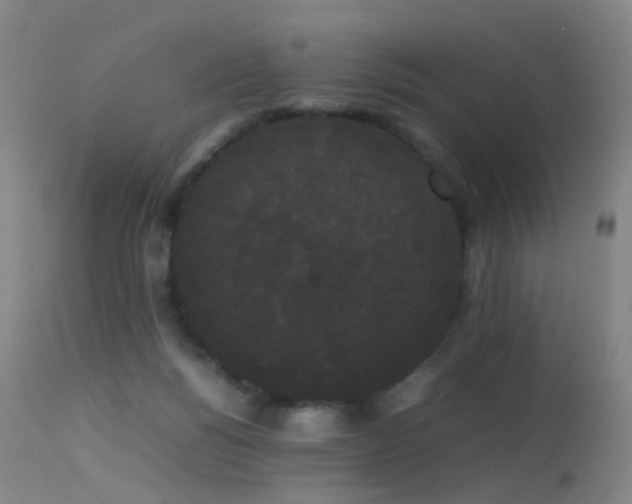 X0000113260168200909171658