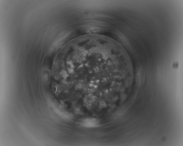 X0000113260169200909171658