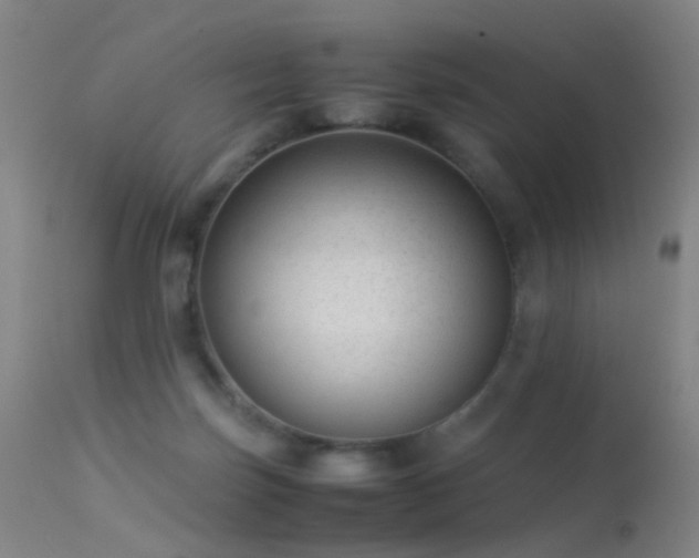 X0000113260171200909171658