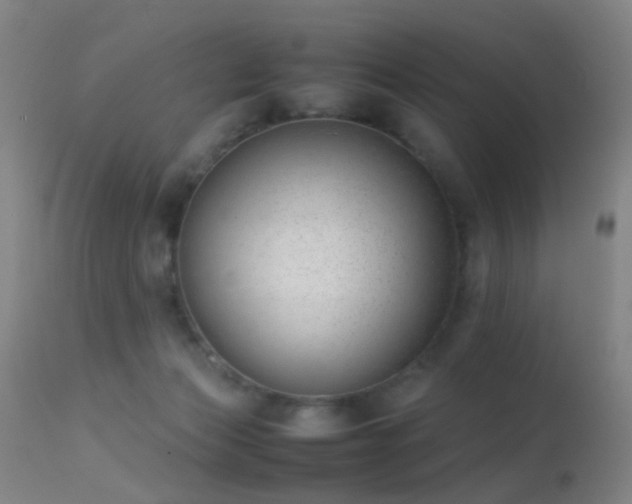 X0000113260173200909171658