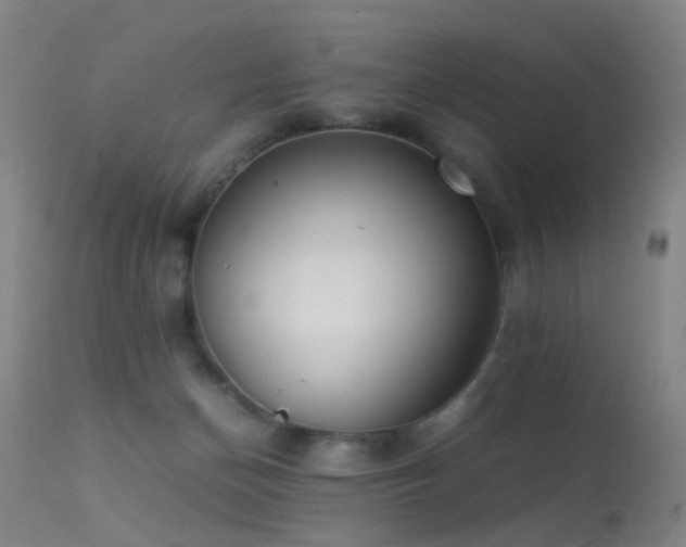 X0000113260174200909171658