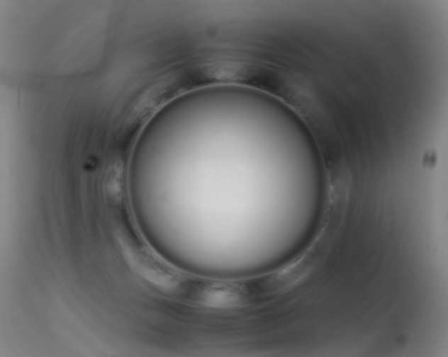 X0000113260175200909171658