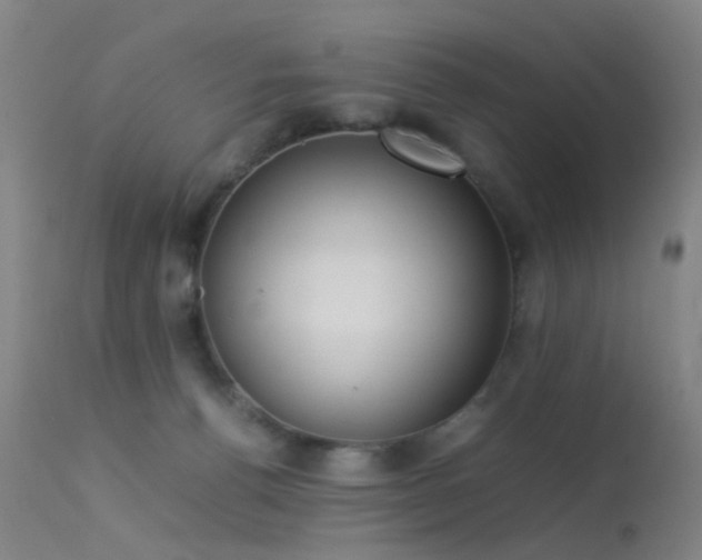 X0000113260176200909171658