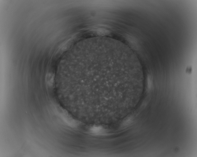 X0000113260177200909171658