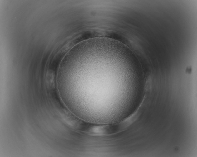 X0000113260178200909171658