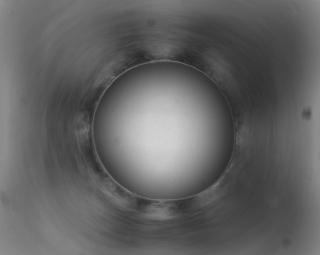 X0000113260179200909171658