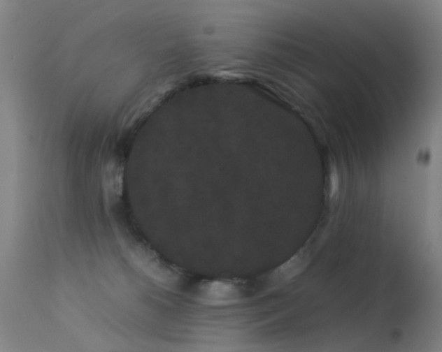 X0000113260180200909171658