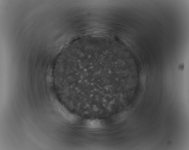 X0000113260181200909171658