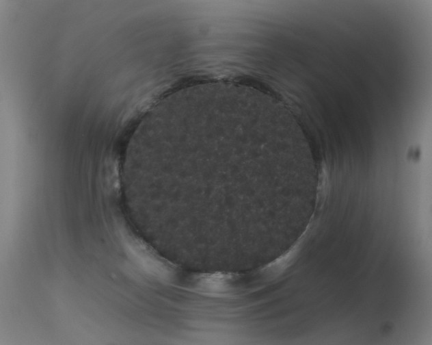 X0000113260182200909171658