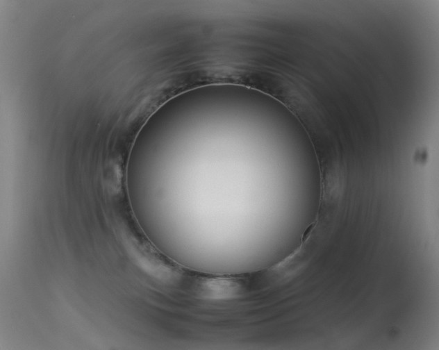 X0000113260183200909171658