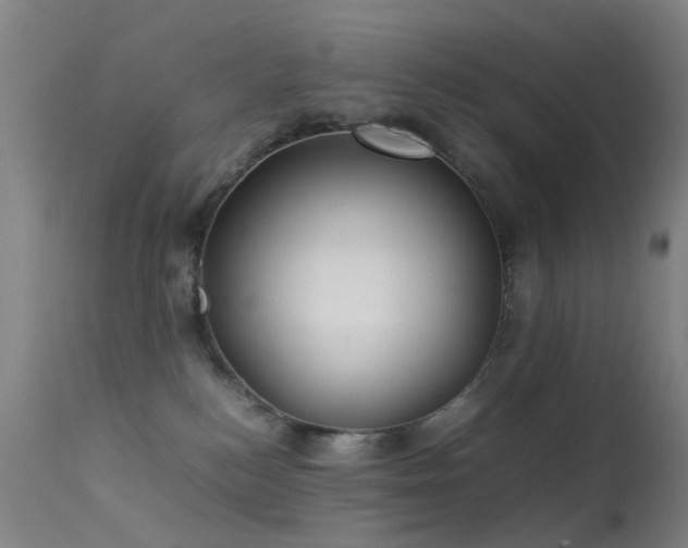 X0000113260184200909171658