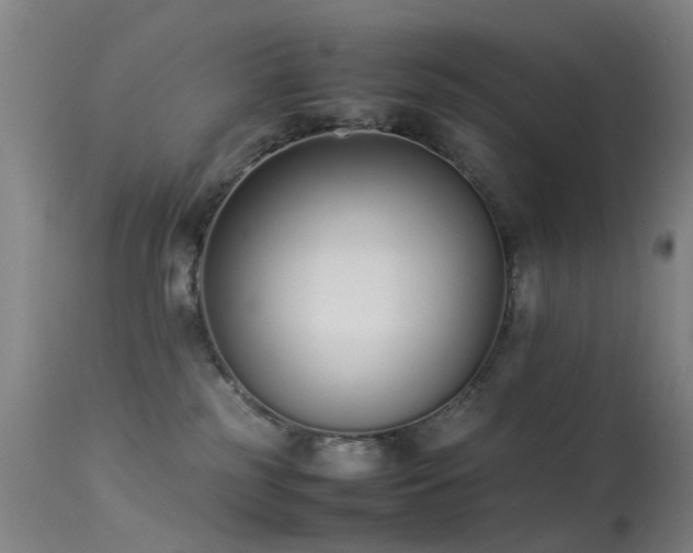 X0000113260185200909171658