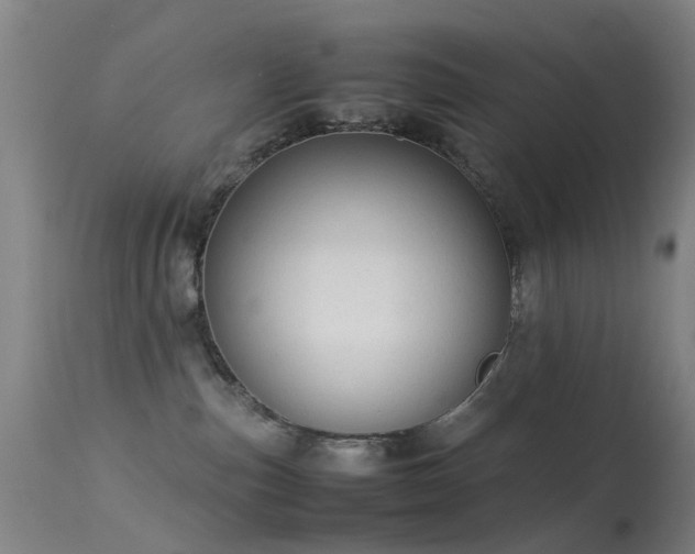 X0000113260187200909171658