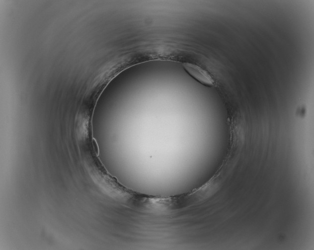 X0000113260188200909171658