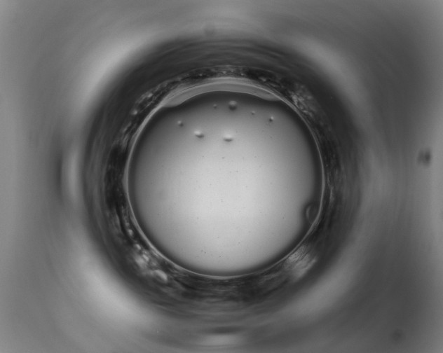 X0000113260189200909171658