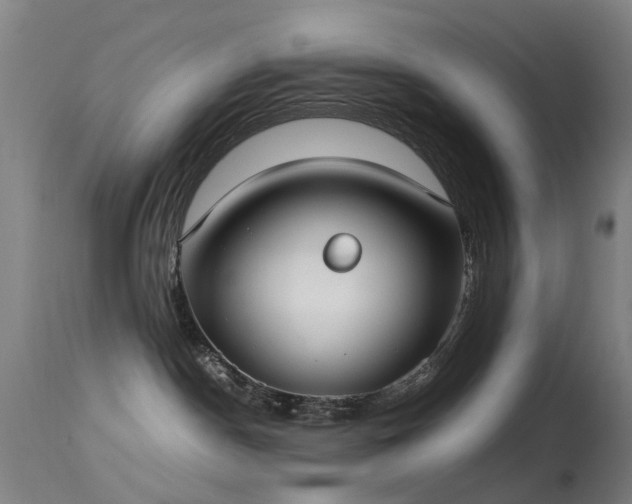 X0000113260190200909171658