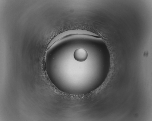 X0000113260192200909171658