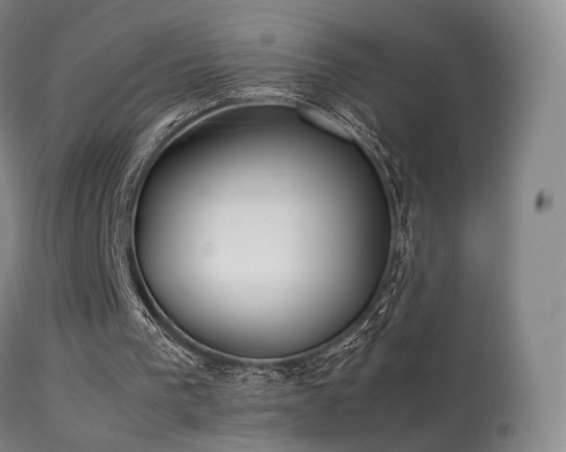 X0000113260193200909171658