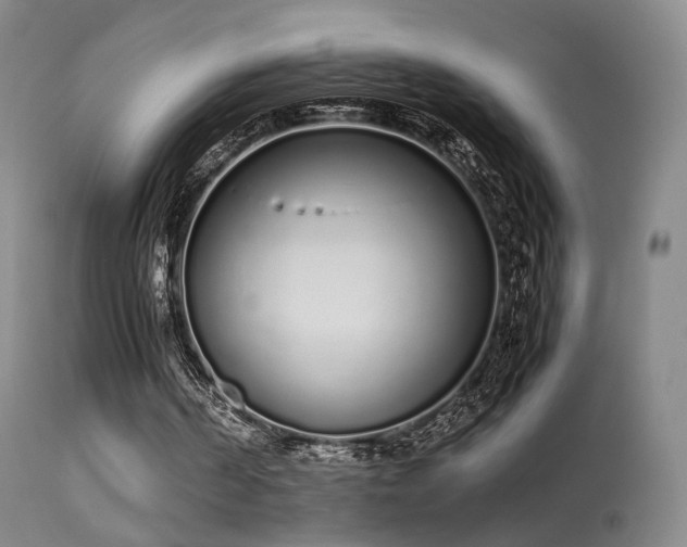 X0000113260194200909171658