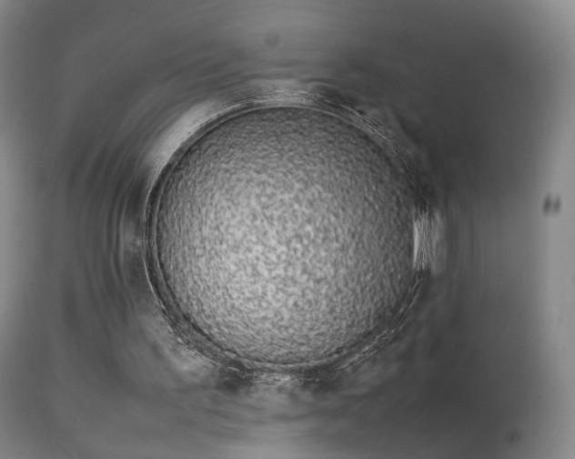 X0000113260195200909171658