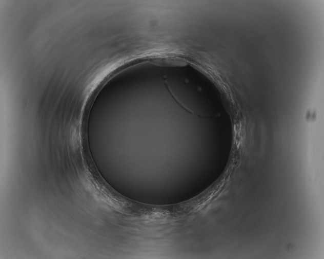 X0000113260196200909171658