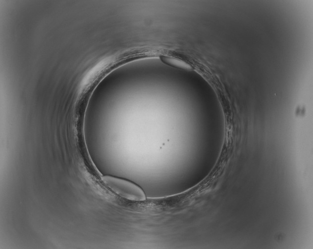 X0000113260197200909171658