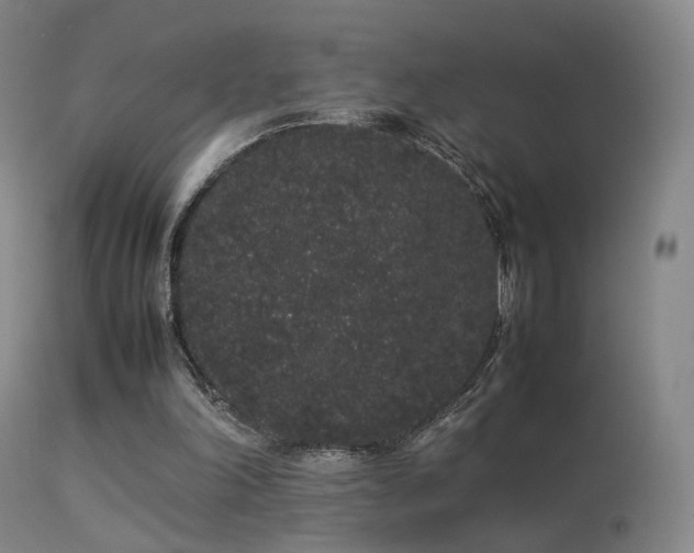 X0000113260198200909171658