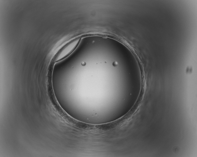 X0000113260199200909171658