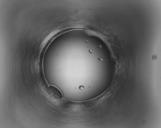 X0000113260200200909171658