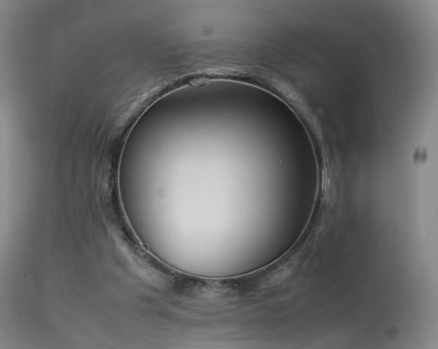 X0000113260201200909171658