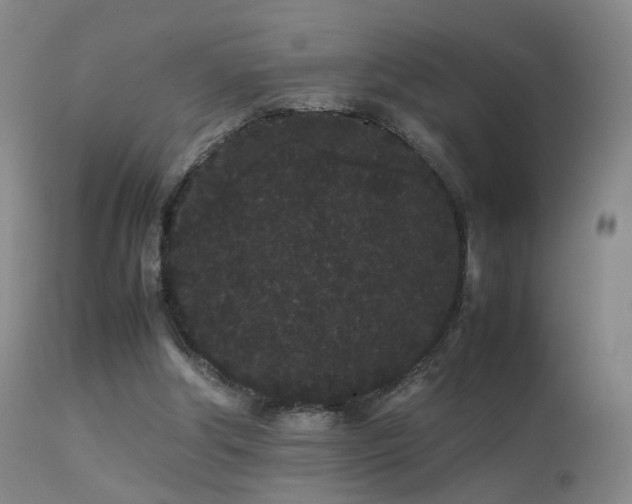 X0000113260202200909171658