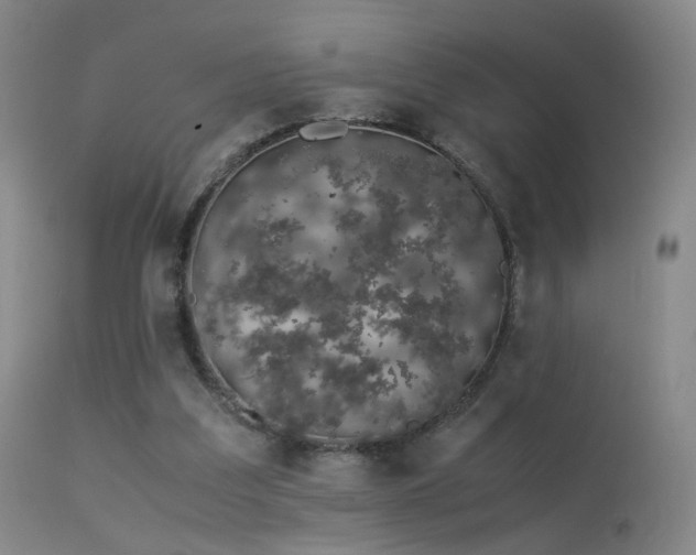 X0000113260203200909171658