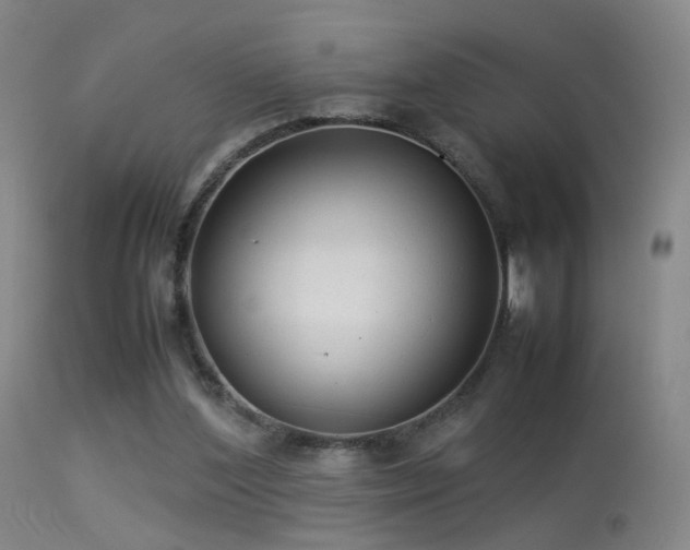 X0000113260204200909171658