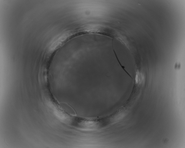 X0000113260205200909171658