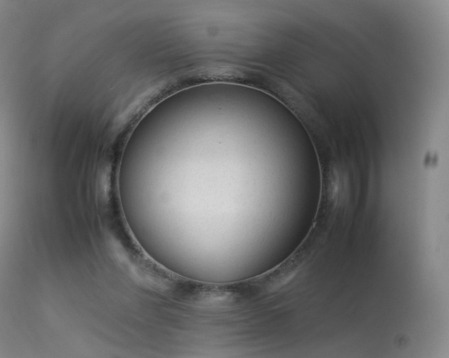 X0000113260206200909171658