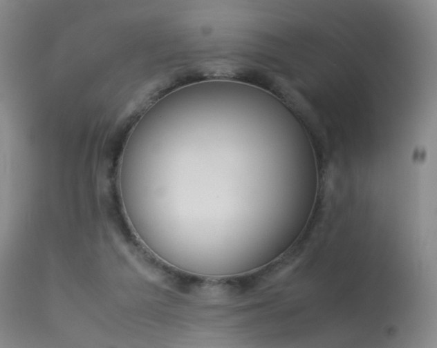 X0000113260209200909171657