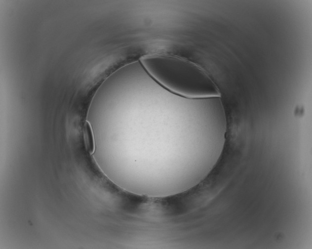 X0000113260211200909171657