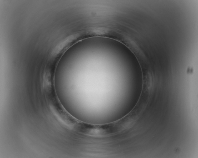 X0000113260212200909171657