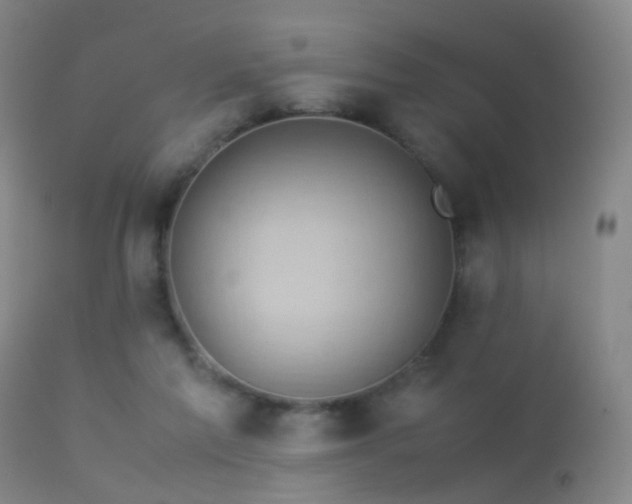 X0000113260213200909171657