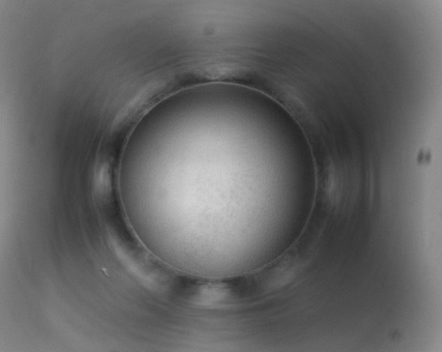 X0000113260214200909171657