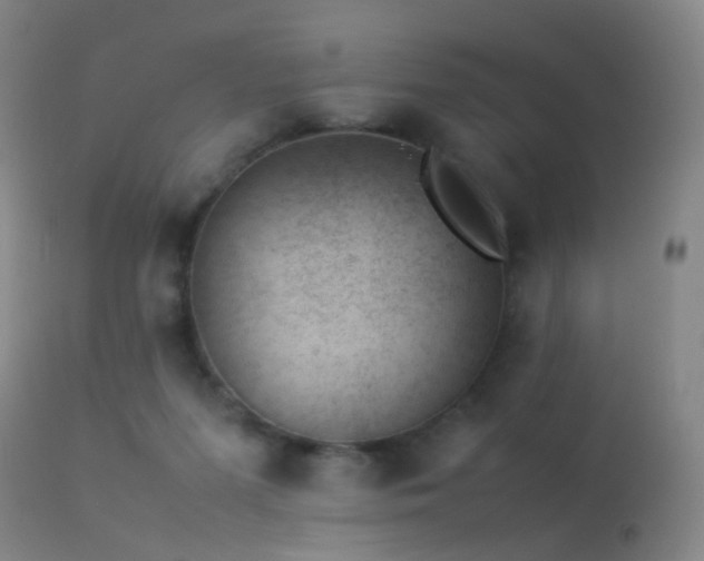 X0000113260215200909171657