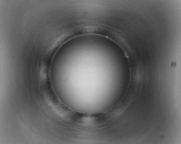 X0000113260216200909171657