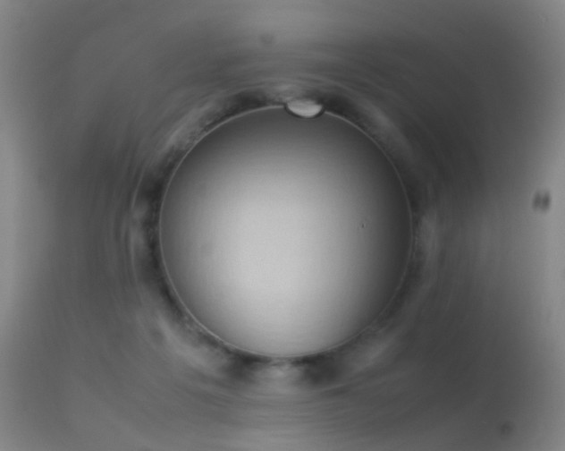 X0000113260217200909171657