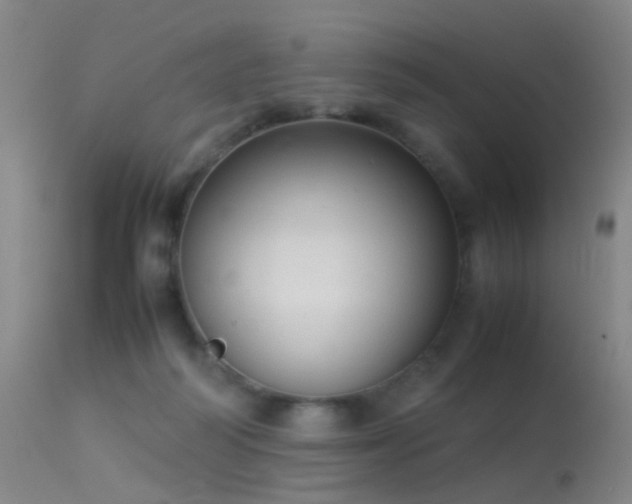 X0000113260218200909171657