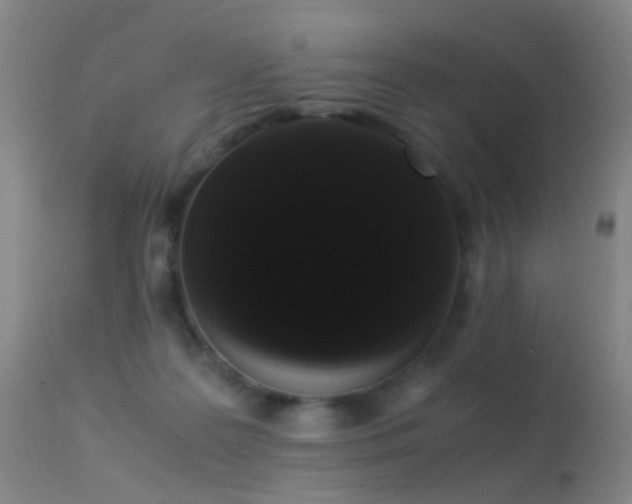 X0000113260219200909171657