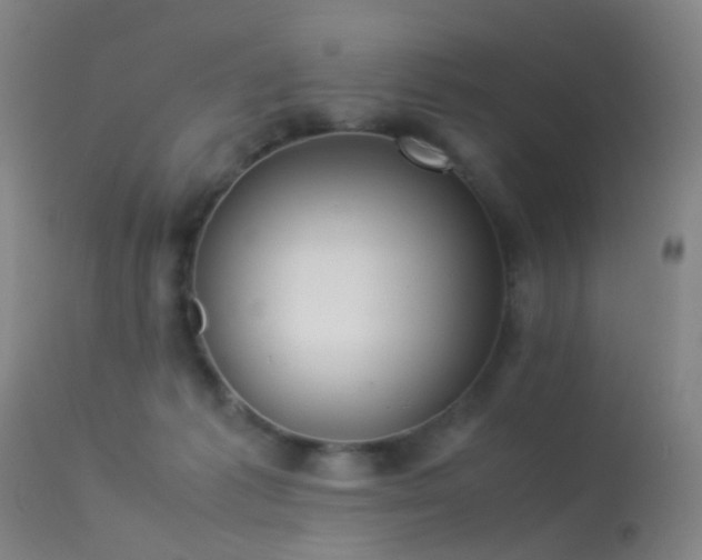 X0000113260221200909171657