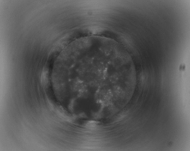 X0000113260222200909171657