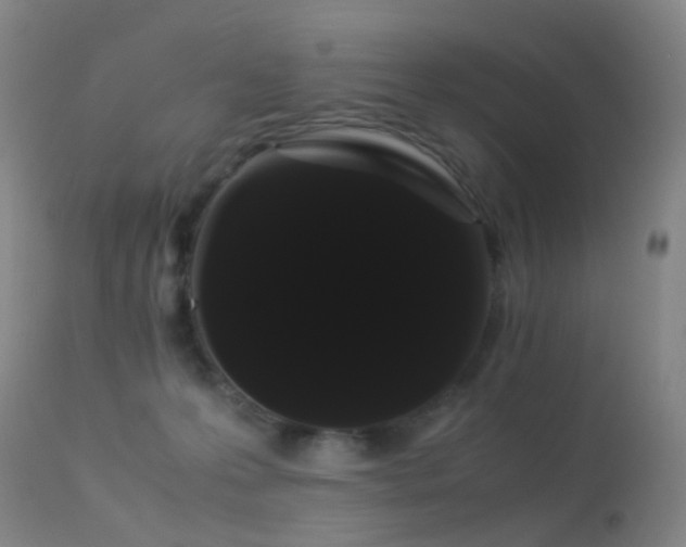 X0000113260223200909171657