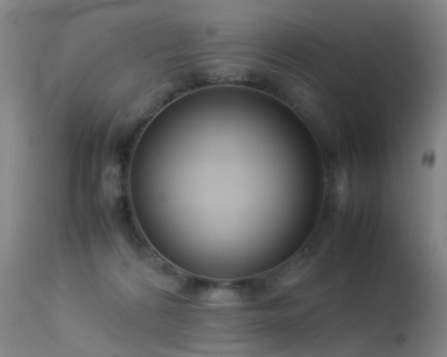 X0000113260224200909171657